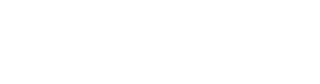 NetPass White Logo in Footer